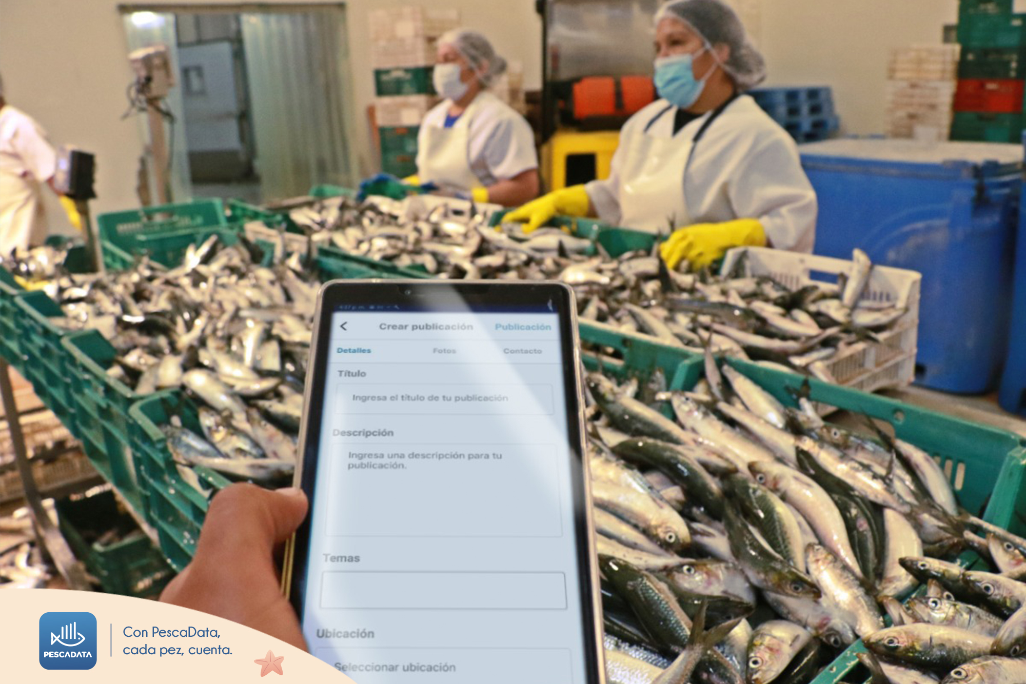 Fisherwoman uses the Pecadata app in a processing facility